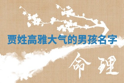 贾姓高雅大气的男孩名字